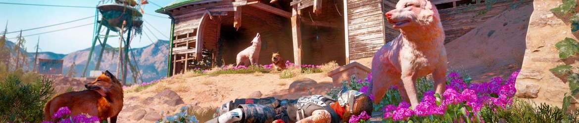 Far Cry: New Dawn Купить Ключ